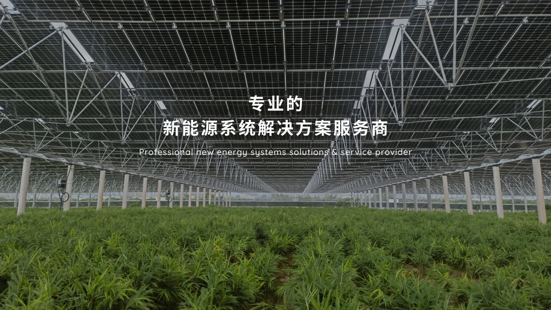 專(zhuān)業(yè)的新能源系統(tǒng)解決方案服務(wù)商