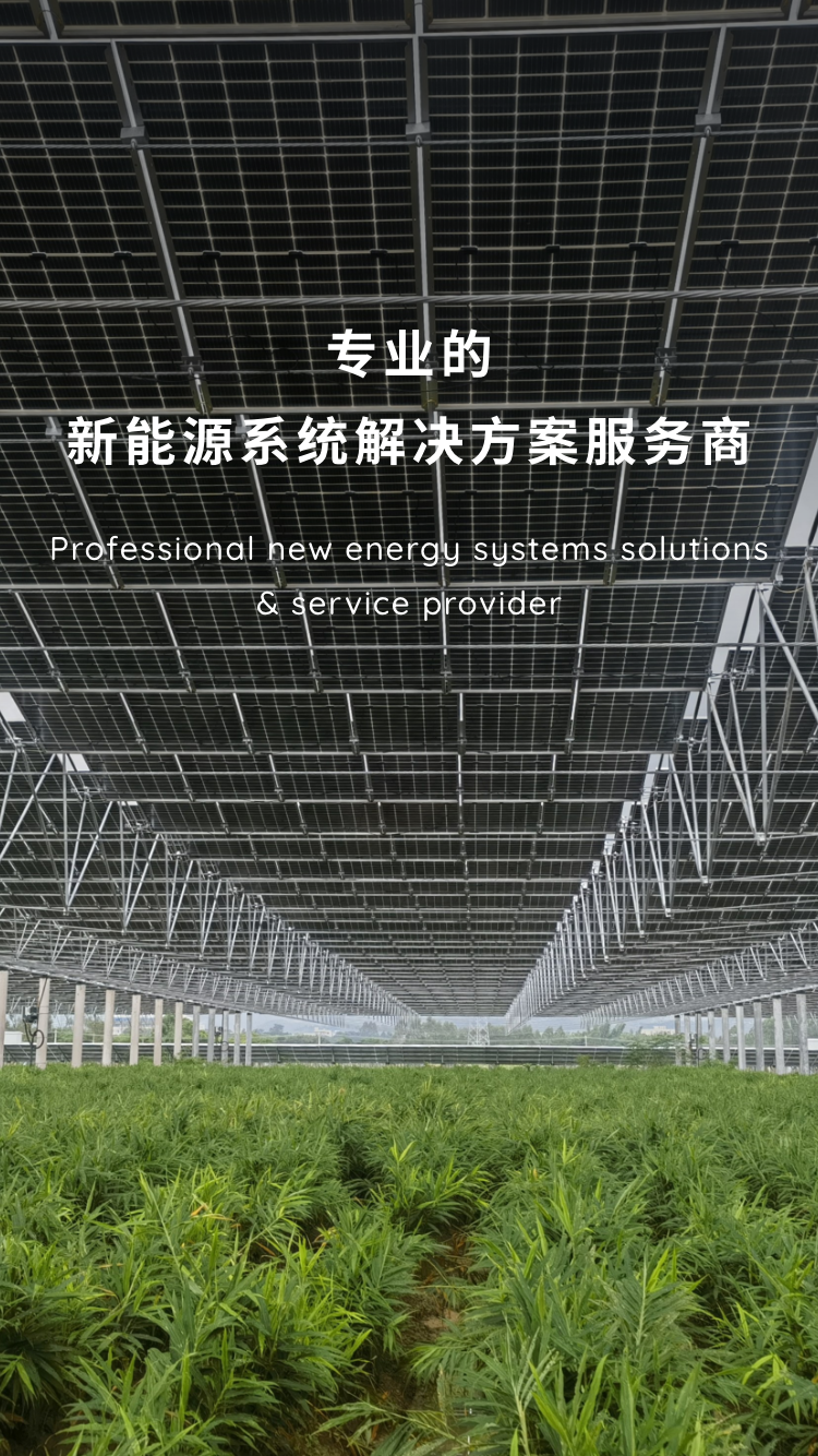專(zhuān)業(yè)的新能源系統(tǒng)解決方案服務(wù)商